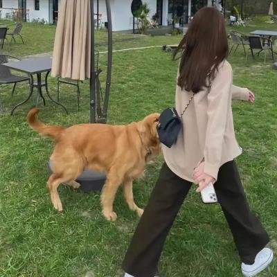 薰衣草粤语